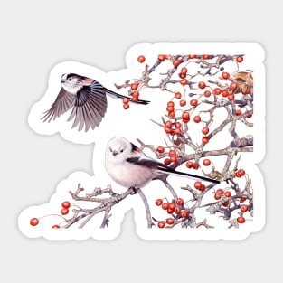 Long-tailed Tits Sticker